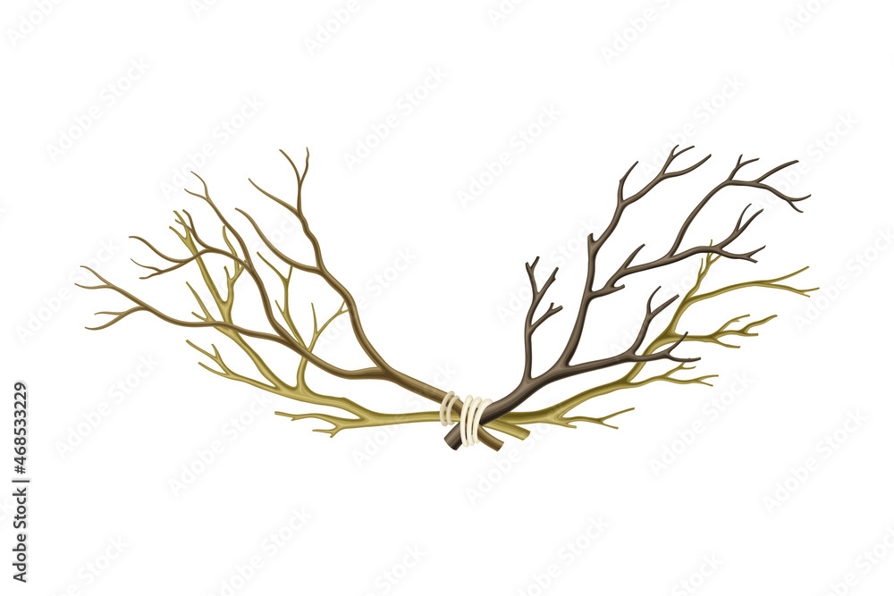 Bare Tree Branch Tied in Semi Circle Vector Illustration Bare Tree Branch Tied in Semi Circle Vector Illustration