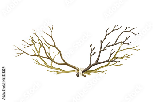 Bare Tree Branch Tied in Semi Circle Vector Illustration