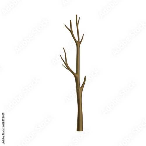 Bare Tree Branch or Twigs with Naked Stem and Snag Vector Illustration
