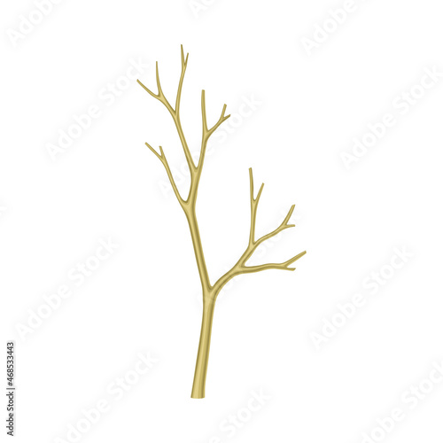 Bare Tree Branch or Twigs with Naked Stem and Snag Vector Illustration