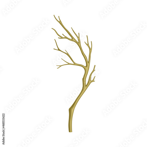 Bare Tree Branch or Twigs with Naked Stem and Snag Vector Illustration