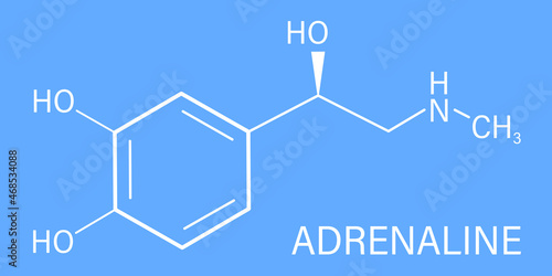Adrenaline (adrenalin, epinephrine) neurotransmitter molecule. Used as drug in treatment of anaphylaxis Skeletal formula.