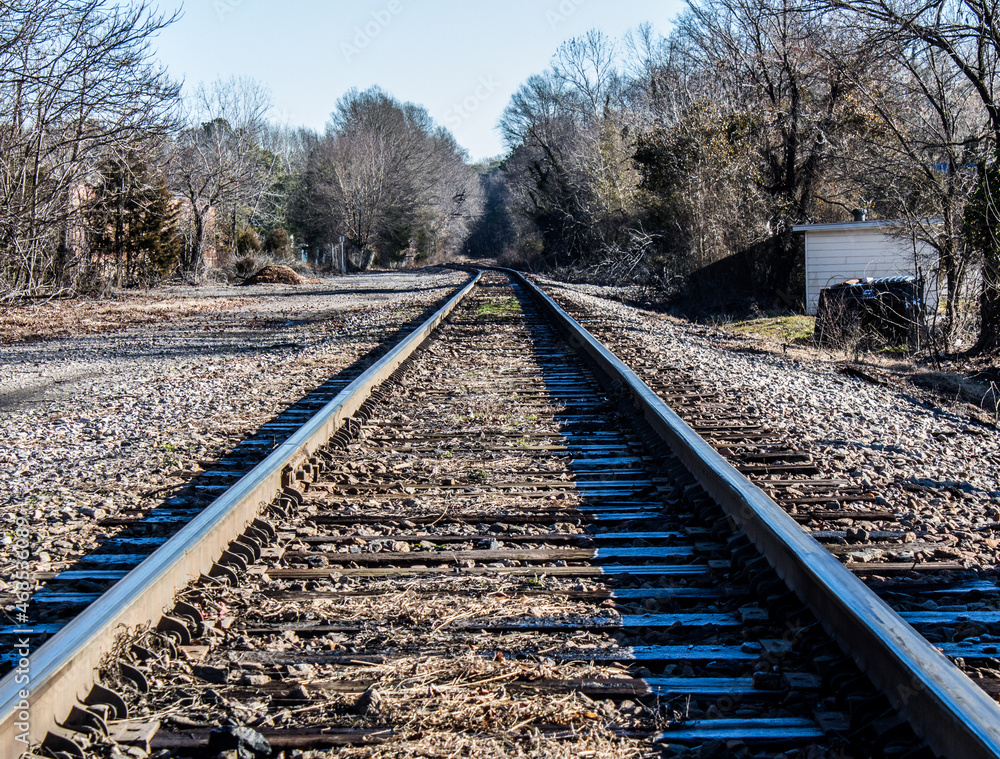 Railroad straight with tree line in the horizon
