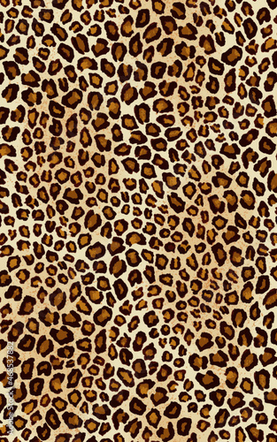 ヒョウ柄　レオパードパターン　シームレス　Leopard seamless pattern