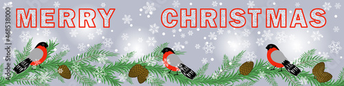 horizontal merry christmas banner with fir branches, bullfinches and snowflakes 