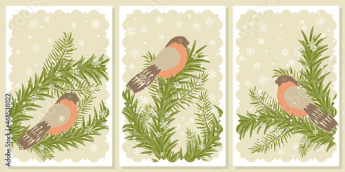 frames with fir branches, bullfinches and snowflakes — for wall framed prints, canvas prints, poster, home decor
