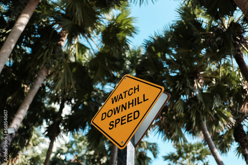 Warning sign "Watch out for downhill speed" with palm tree background