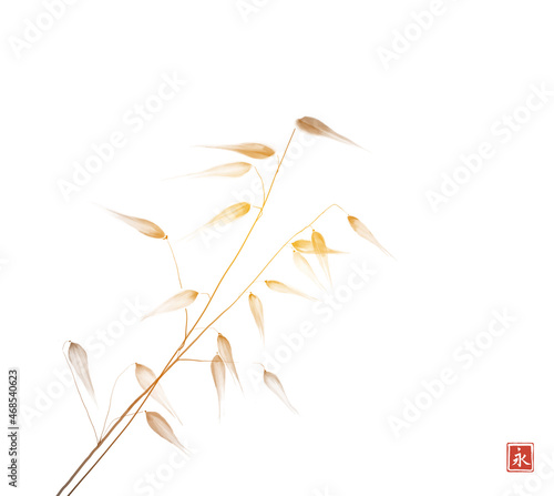 Wild grass on white background. Traditional Japanese ink wash painting sumi-e in minimalist style. Translation of hieroglyph - eternity