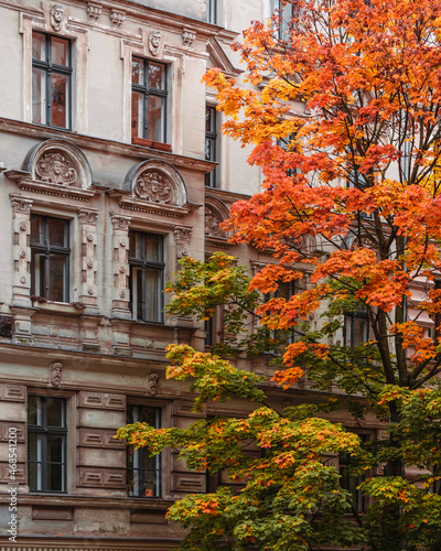Facade and autumn tree (ID: 468541200)