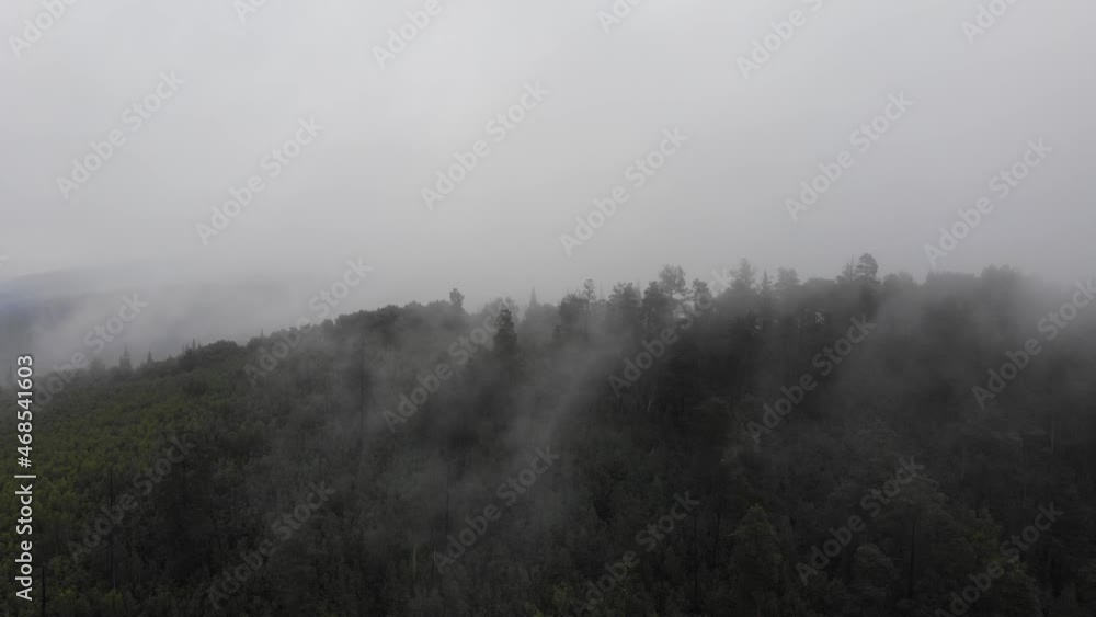 fog after rain over the taiga
fog after rain over the taiga