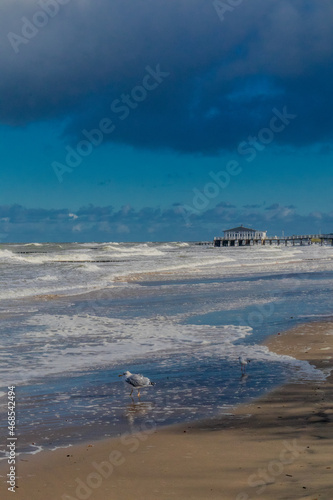 Wunderschöner Herbstspaziergang an der Polnischen Ostsee entlang der Küste von Ustronie Morskie - Polen photo