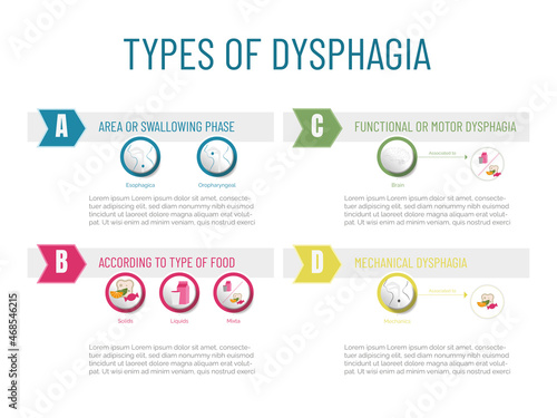 Infographic Type of dysphagia: according to the affected area, type of food, functional or mechanical. photo