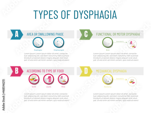 Infographic Type of dysphagia: according to the affected area, type of food, functional or mechanical.