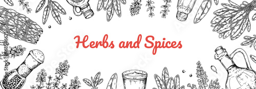 Hand drawn herbs and spices design. Vector illustration