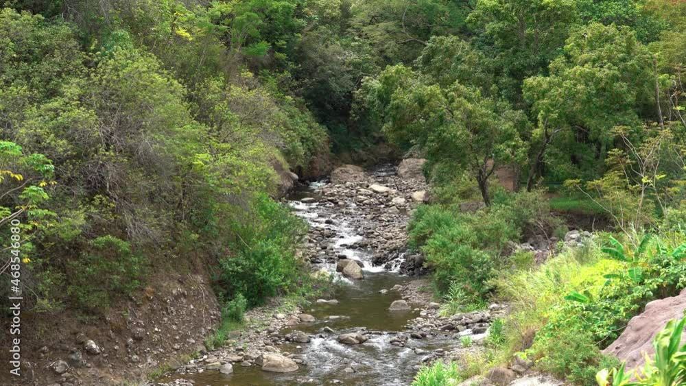 Aerial zoom in show of tropical and tranquil River at Iao Valley on Hawaii - Deep forest trees and plants and river flowing downhill Aerial zoom in show of tropical and tranquil River at Iao Valley on Hawaii - Deep forest trees and plants and river flowing downhill