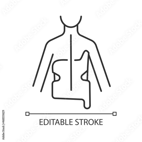 Scoliosis brace linear icon. Spine curvature correcting method. Spinal deformation prevention. Thin line customizable illustration. Contour symbol. Vector isolated outline drawing. Editable stroke