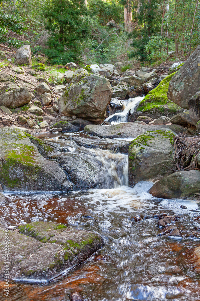 Prinskasteel River in Table Mountain National Park Prinskasteel River in Table Mountain National Park