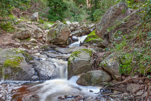 Fototapeta Naklejka Na Ścianę i Meble -  Prinskasteel River in Table Mountain National Park