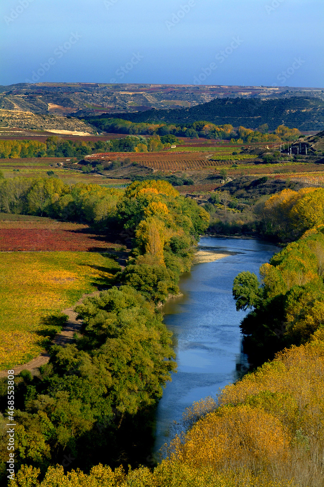 Viñedos durante el Otoño en la zona de Briones-Cenicero, La Rioja