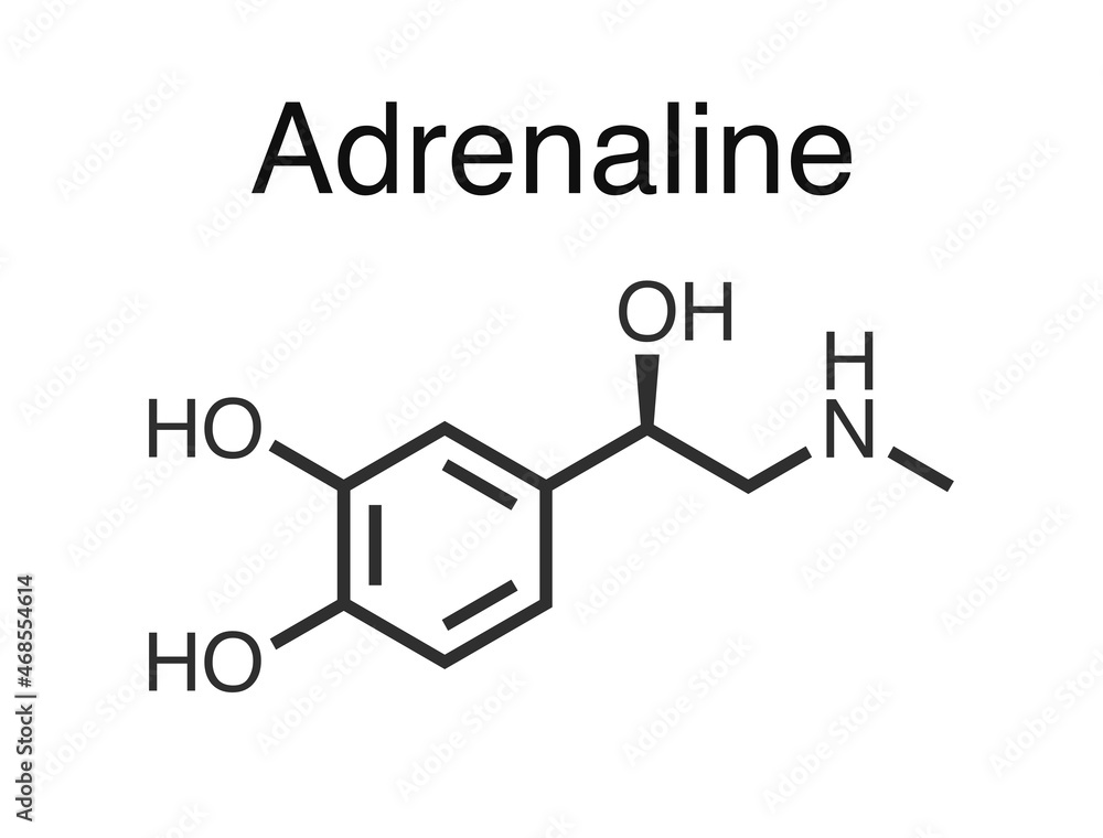 Vector illustration of adrenaline molecule. Vector illustration of adrenaline molecule.