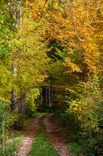 Herbstspaziergang © Margarete Mörtel