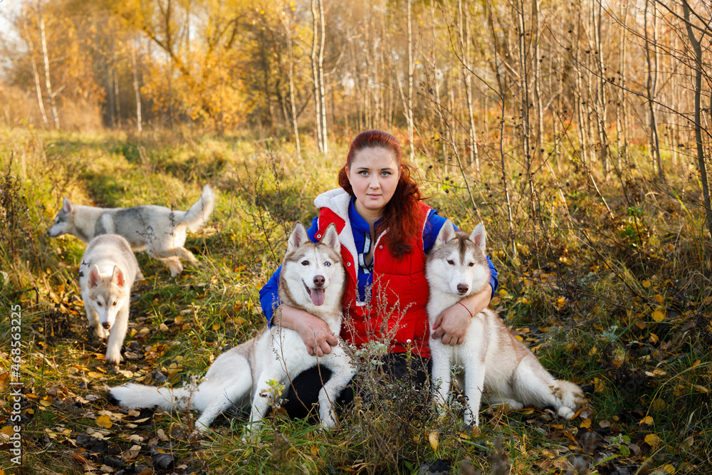 The dog breeder with her husky dogs in autumn forest The dog breeder with her husky dogs in autumn forest