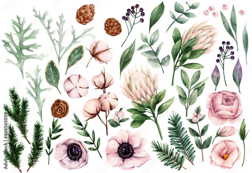Watercolor clipart with winter flowers Watercolor clipart with winter flowers