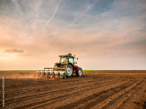 Fototapeta Tractor drilling seeding crops at farm field