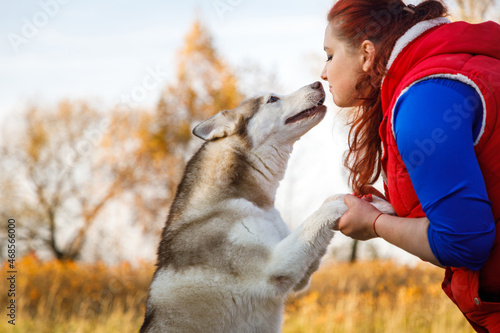 Fotografia The dog breeder is speaking with her husky dogs in autumn forest