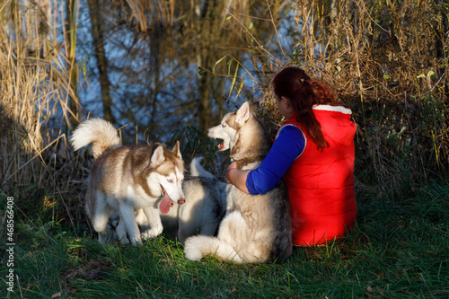 Photo The dog breeder is hugging with her husky dogs on the coast of lake