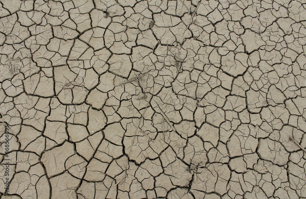Dry and cracked land, dry due to lack of rain. Effects of climate change such as desertification and droughts.
Dry and cracked land, dry due to lack of rain. Effects of climate change such as desertification and droughts.
