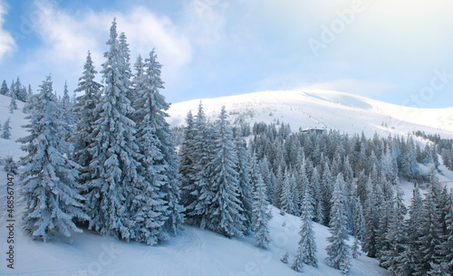 Winter landscape resort in mountains of fir forest covered with snow on blue sky background