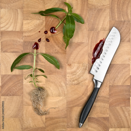 concept image of plant cut in half on chopping board with Knife and blood