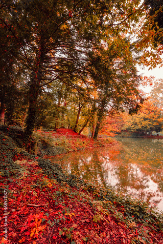 Lake in the Monza park during the autumn foliage