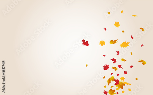 Autumnal Foliage Vector Transparent Background.