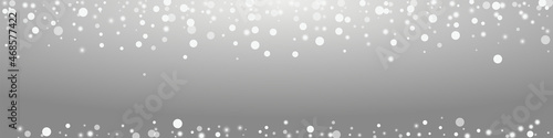 White Snowflake Vector Panoramic Transparent