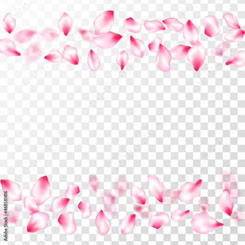 Spring blossom isolated petals flying