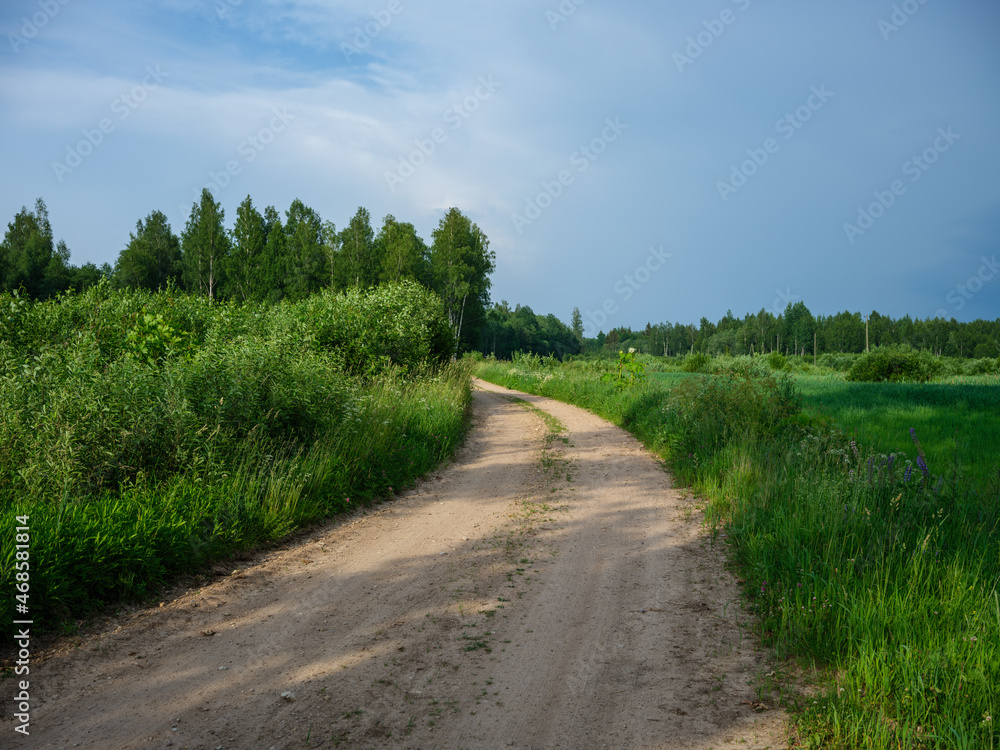 gravel country road in summer green fields