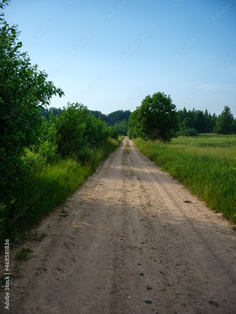 gravel country road in summer green fields gravel country road in summer green fields