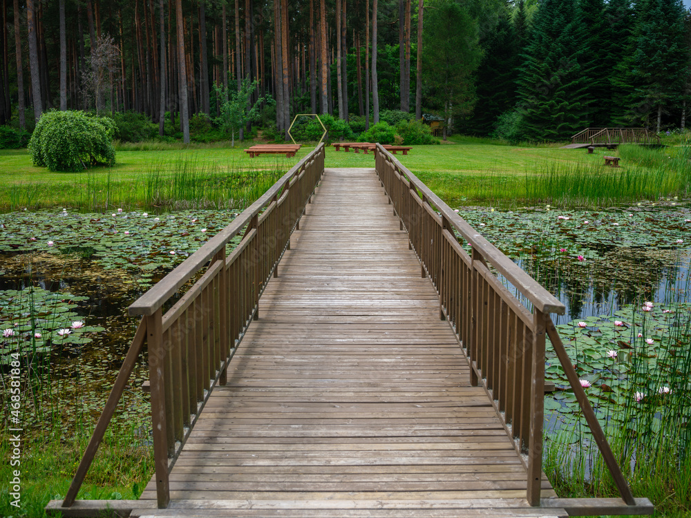 old wet wooden footpath walkway in deep green forest old wet wooden footpath walkway in deep green forest