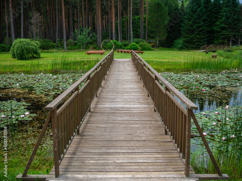 old wet wooden footpath walkway in deep green forest