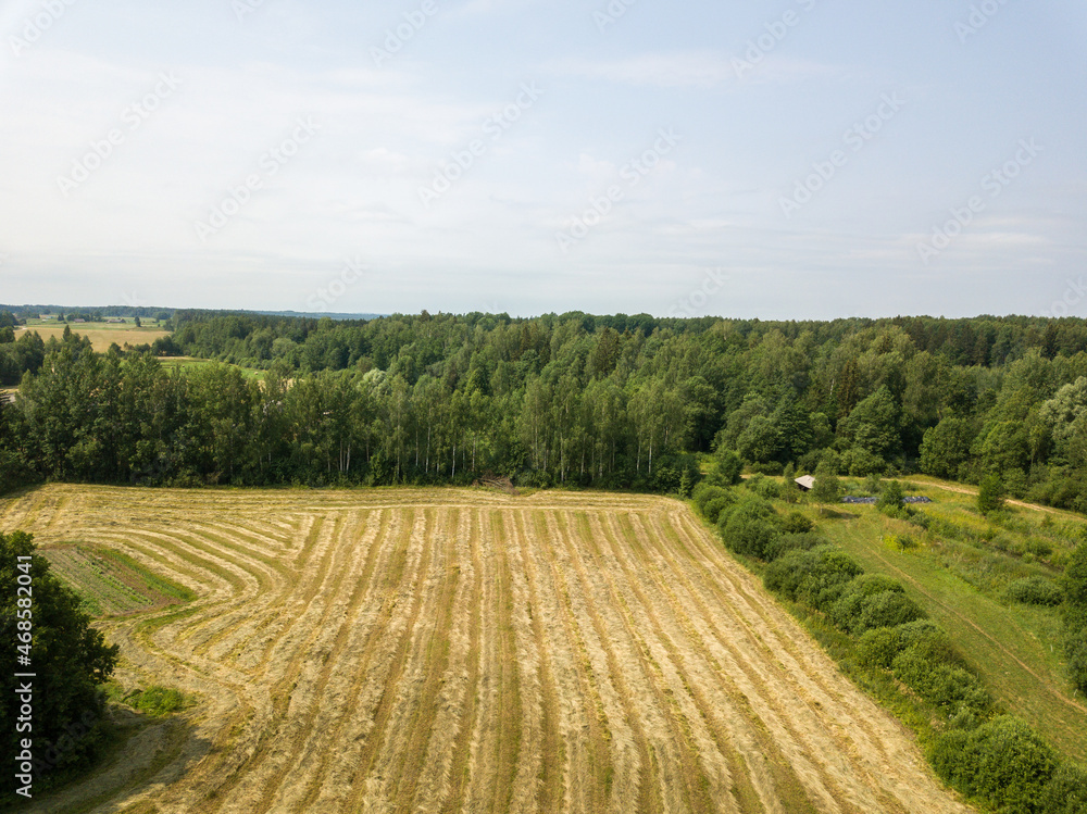 agroculture fields from above. drone image in country in autumn