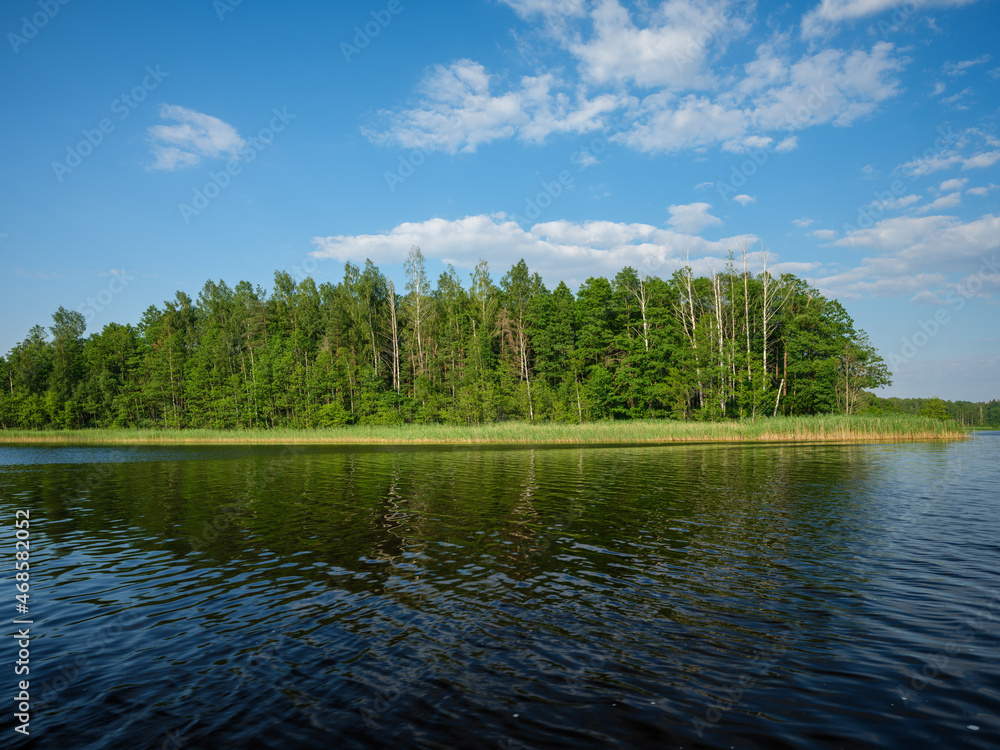 Fototapeta premium country forest lake in summer with deep blue water with reflections