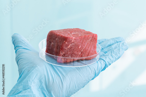 Lab grown meat concept - meat in petri dish