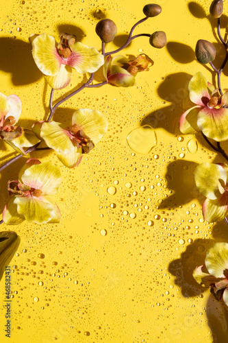 Vertical image of decorative orchids on the wet bright yellow surface.Empty background for product or design