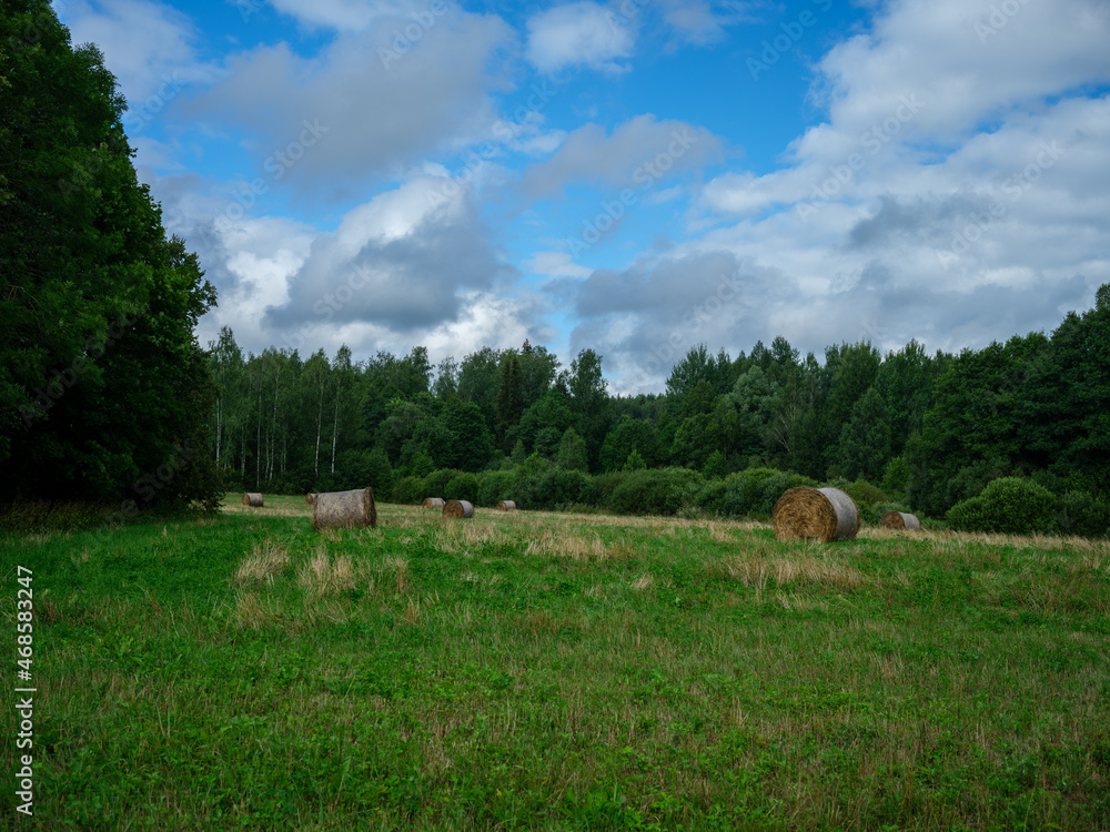 Fototapeta premium rolls of dry hay in green summer meadow