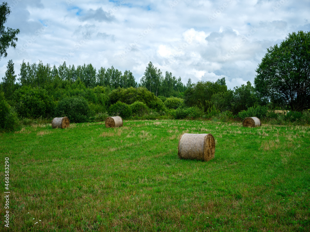 rolls of dry hay in green summer meadow