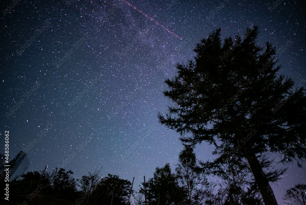 Naklejka premium な