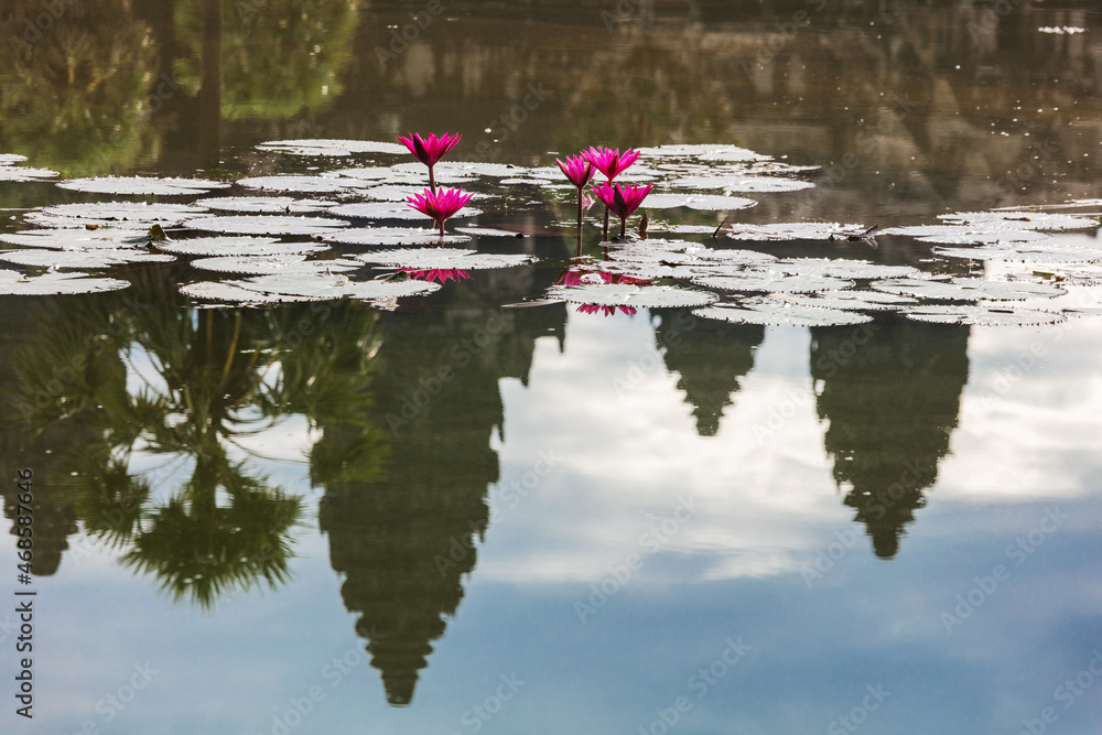 reflection of the temple of Angkor Wat in water reflection of the temple of Angkor Wat in water