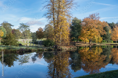 Painshill autumn walk